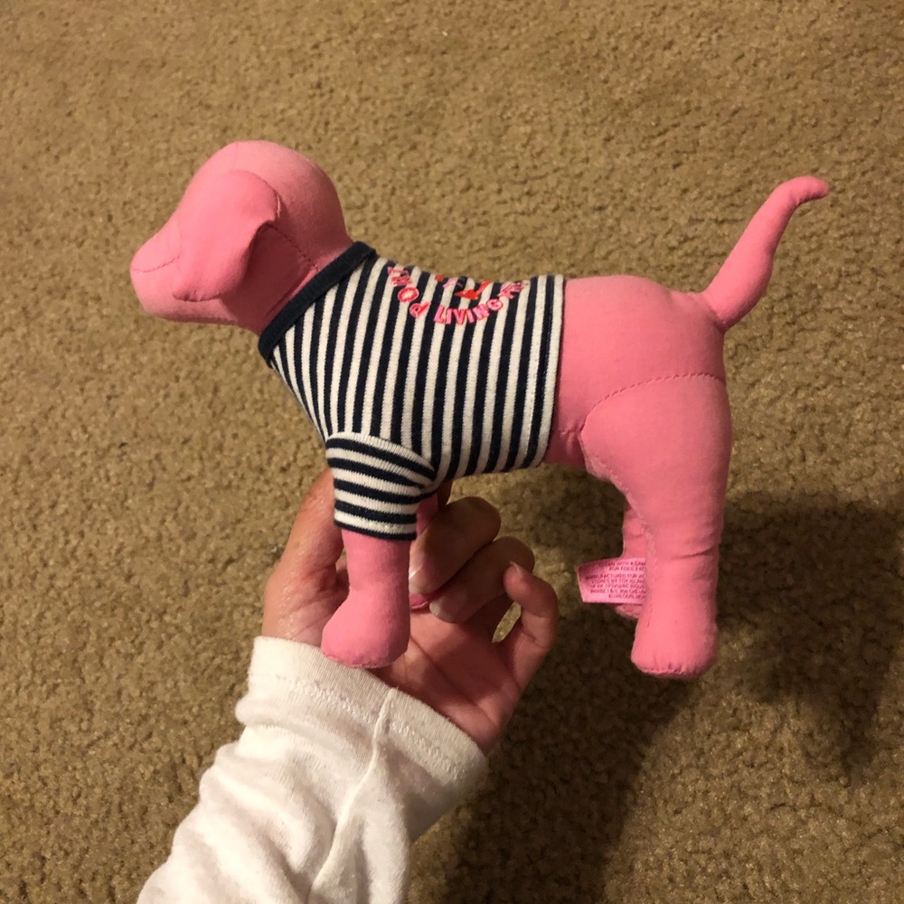 Victoria’s Secret pink mini dog
